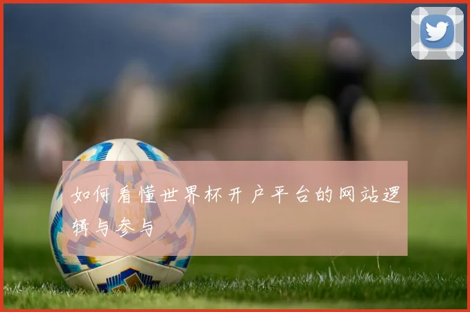 如何看懂世界杯开户平台的网站逻辑与参与